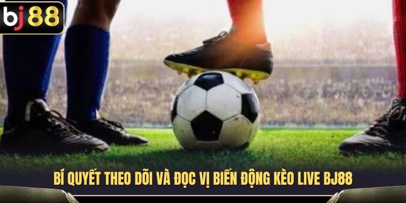 Lưu ý quan trọng khi theo dõi biến động tỷ lệ cược trực tiếp 