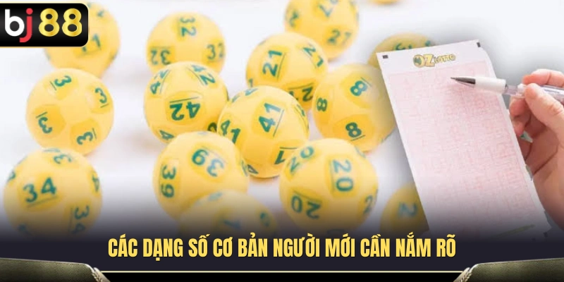 Các dạng cược số cơ bản trước khi tham gia đặt cược 